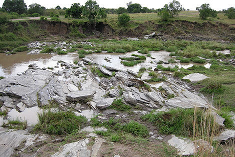 image of soil erosion, rocks exposed in a river bed